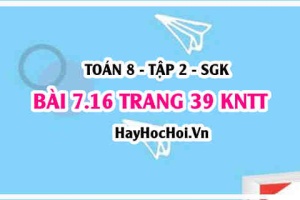 Bài 7.16 trang 39 Toán 8 Tập 2 Kết nối tri thức